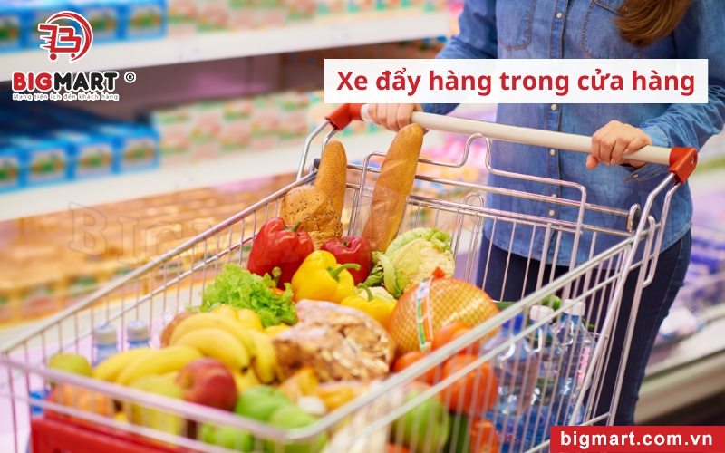 Xe đẩy hàng tại Hà Nam sử dụng trong siêu thị