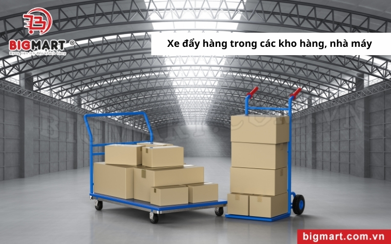 Xe Đẩy Hàng Tại Hậu Giang trong các kho hàng nhà máy