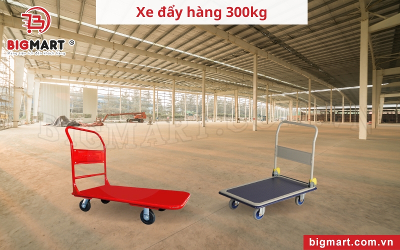 Xe Đẩy Hàng Tại Kiên Giang 300kg