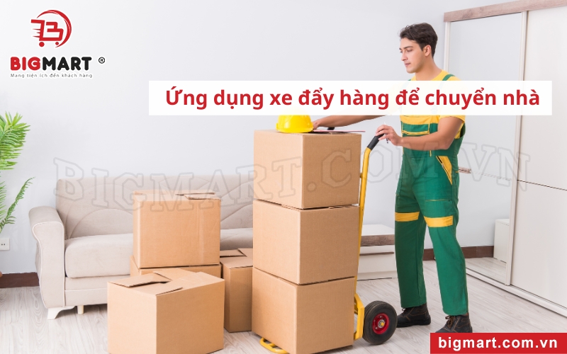 Xe đẩy hàng tại Nam Định dùng để chuyển nhà