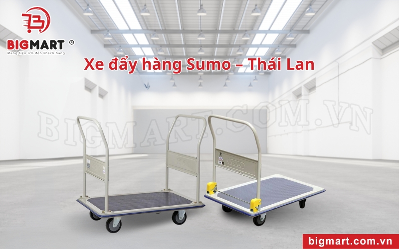 Xe đẩy hàng tại Thái Bình Sumo