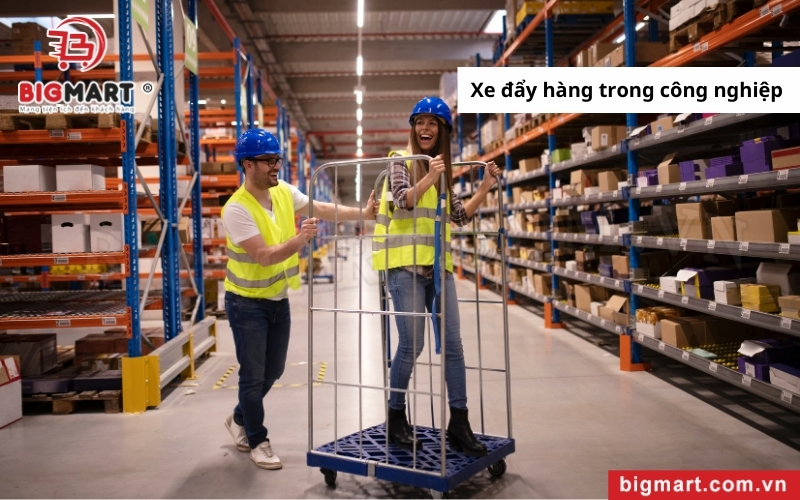 xe đẩy hàng tại Trà Vinh sử dụng trong công nghiệp