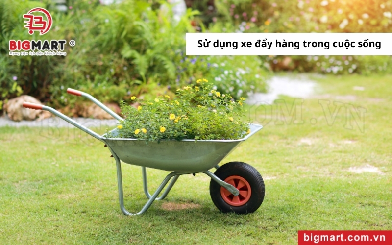 xe đẩy hàng tại Trà Vinh trong gia đình