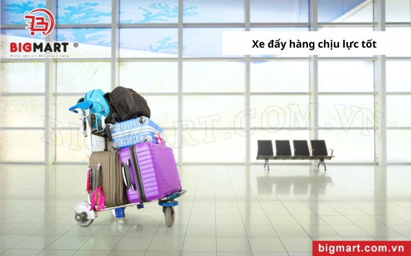 xe đẩy hàng tại Trà Vinh có khả năng chịu lực tốt