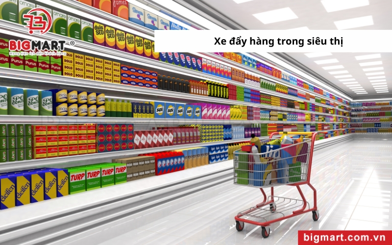 xe đẩy hàng tại vĩnh long dùng trong siêu thị