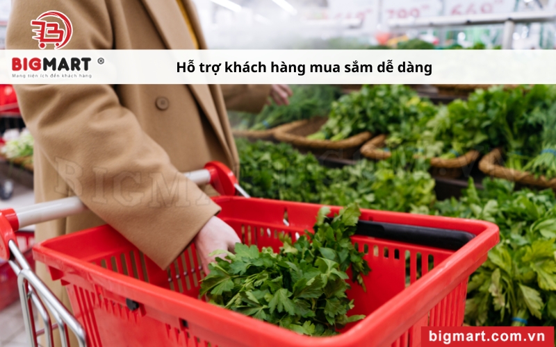 khách hàng sử dụng Xe Đẩy Siêu Thị Tại An Giang