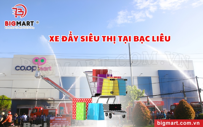 Xe Đẩy Siêu Thị Tại Bạc Liêu