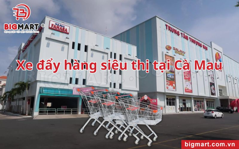 Xe Đẩy Siêu Thị Tại Cà Mau