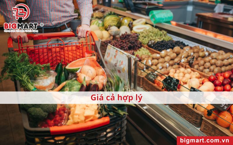 Xe Đẩy Siêu Thị Tại Cà Mau giá rẻ