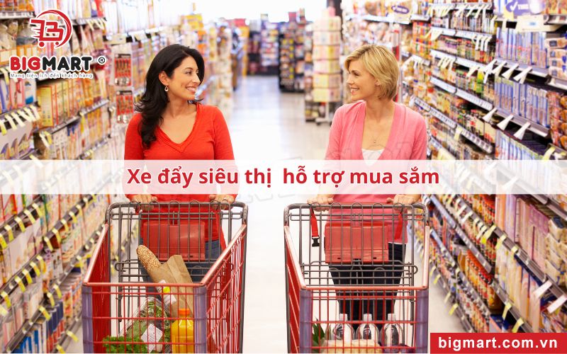 Xe Đẩy Siêu Thị Tại Cà Mau hỗ trợ mua sắm