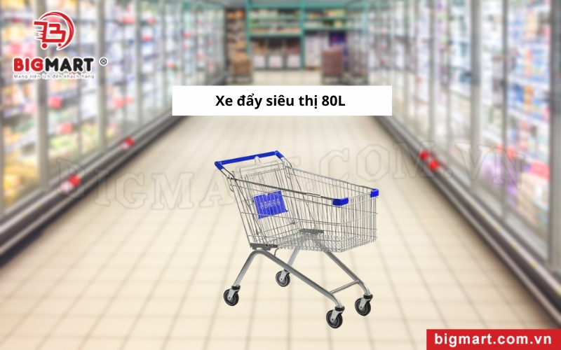 Xe đẩy siêu thị tại Kiên Giang loại 8L