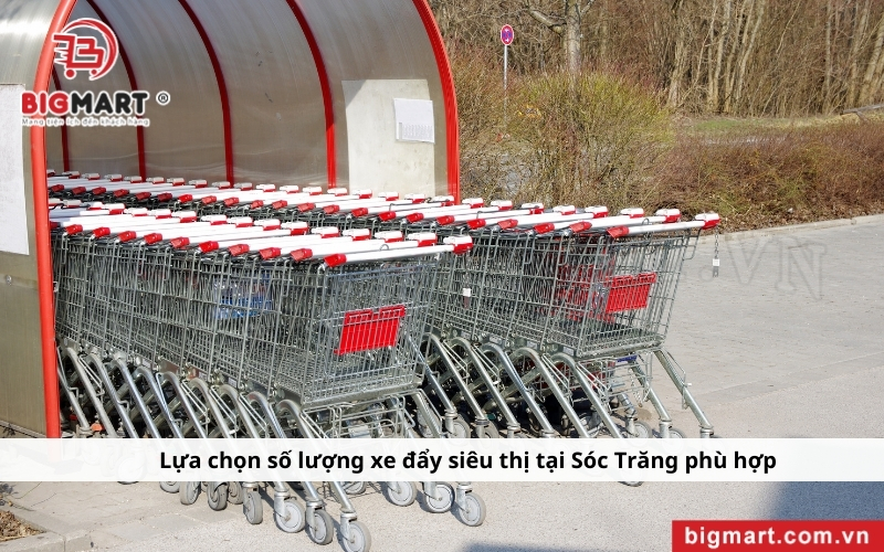 mua xe đẩy siêu thị tại Sóc Trăng SLL