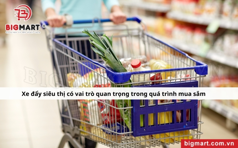 tầm quan trọng của xe đẩy siêu thị tại Sóc Trăng