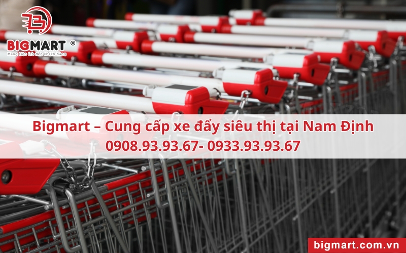 địa chỉ mua Xe đẩy siêu thị tại Thái Bình