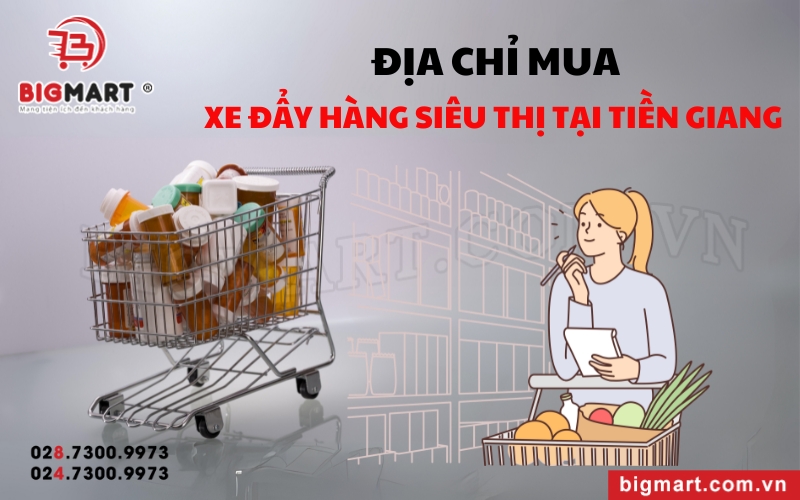 địa chỉ mua Xe đẩy siêu thị tại Tiền Giang
