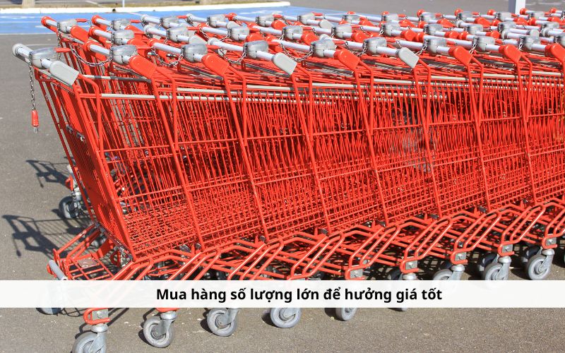 mua xe đẩy siêu thị tại Trà Vinh số lượng lớn