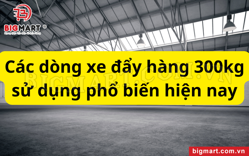 Các dòng xe đẩy hàng 300kg sử dụng phổ biến hiện nay