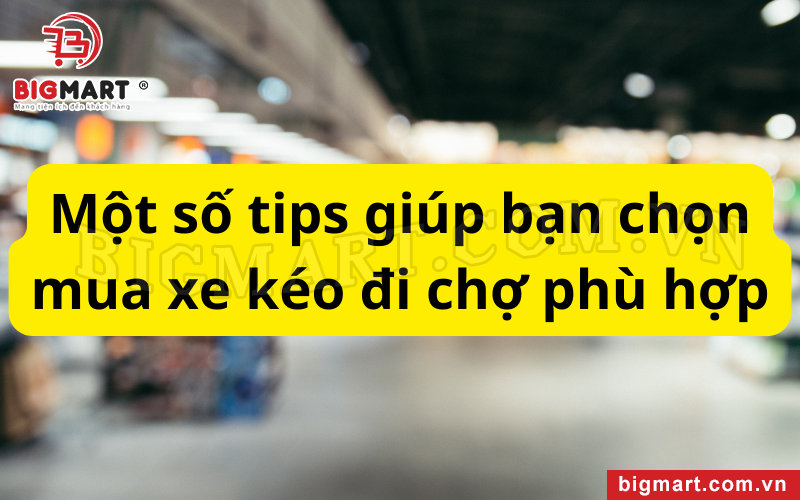 Một số tips giúp bạn chọn mua xe kéo đi chợ phù hợp