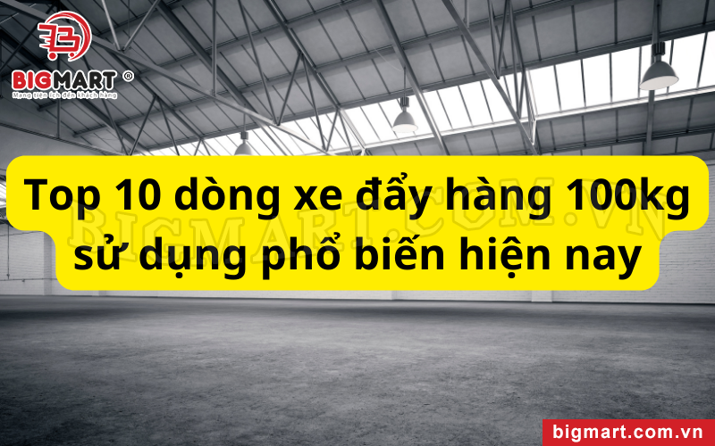 Top 10 dòng xe đẩy hàng 100kg sử dụng phổ biến hiện nay