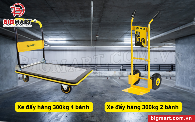 Các dòng xe đẩy hàng 300kg 