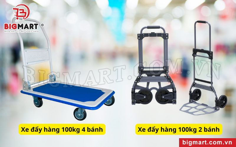 Xe đẩy hàng 100kg