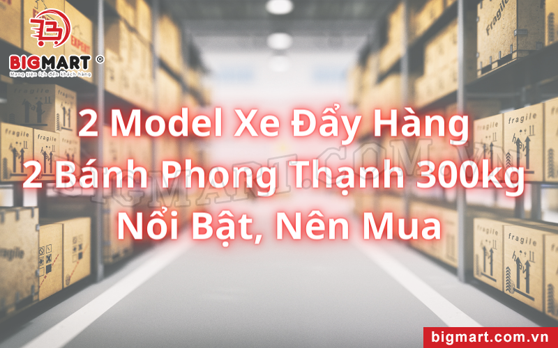 2 Model Xe Đẩy Hàng 2 Bánh Phong Thạnh 300kg Nổi Bật, Nên Mua