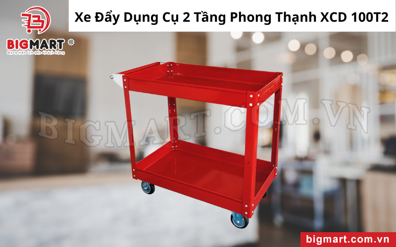 Xe Đẩy Dụng Cụ 2 Tầng Phong Thạnh XCD 100T2