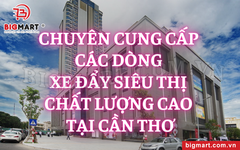 Chuyên Cung Cấp Các Dòng Xe Đẩy Siêu Thị Chất Lượng Cao Tại Cần Thơ