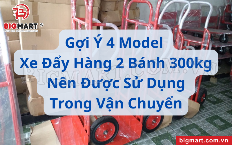 Gợi Ý 4 Model Xe Đẩy Hàng 2 Bánh 300kg Nên Được Sử Dụng Trong Vận Chuyển