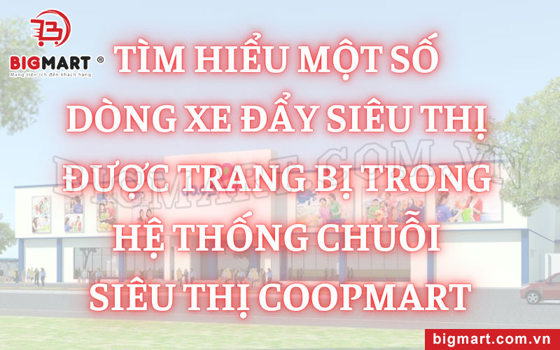 Tìm Hiểu Một Số Dòng Xe Đẩy Siêu Thị Được Trang Bị Trong Hệ Thống Chuỗi Siêu Thị Coopmart