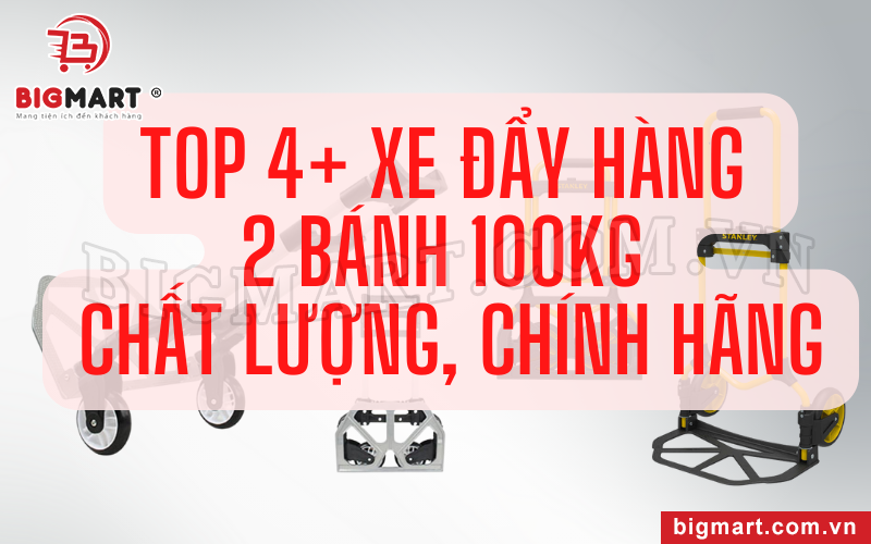 Top 4+ Xe Đẩy Hàng 2 Bánh 100kg Chất Lượng, Chính Hãng