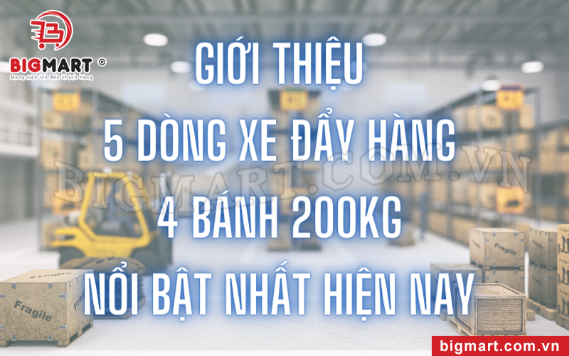 Giới Thiệu 5 Dòng Xe Đẩy Hàng 4 Bánh 200kg Nổi Bật Nhất Hiện Nay 