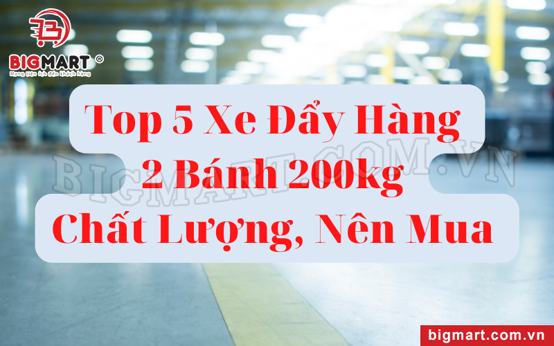 Top 5 Xe Đẩy Hàng 2 Bánh 200kg Chất Lượng, Nên Mua 