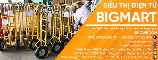 Xe đẩy 2 bánh giá rẻ chỉ có tại BIGMART