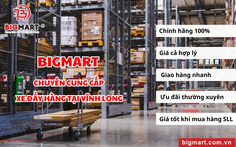 bigmart chuyên cung cấp xe đẩy hàng tại vĩnh long