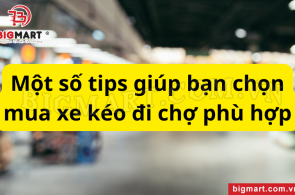 Một số tips giúp bạn chọn mua xe kéo đi chợ phù hợp