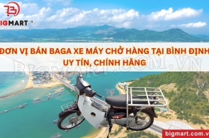 ĐƠN VỊ BÁN BAGA XE MÁY CHỞ HÀNG TẠI BÌNH ĐỊNH UY TÍN, CHÍNH HÃNG