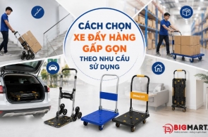 Cách chọn xe đẩy hàng gấp gọn theo nhu cầu sử dụng: Bí quyết từ chuyên gia