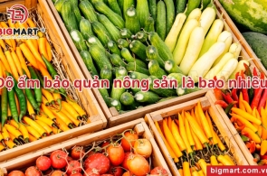 Độ ẩm bảo quản nông sản bao nhiêu là tốt nhất?