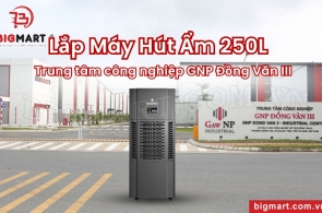 Lắp Máy Hút Ẩm 250L Bảo Quản Linh Kiện Điện Tử Trong Kho Lưu Trữ - GNP Đồng Văn III