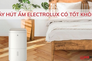 Máy hút ẩm Electrolux có tốt không? Có nên đầu tư hay không?