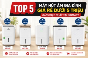 Top 5 Máy Hút Ẩm Gia Đình Giá Rẻ Dưới 5 Triệu Bán Chạy Nhất Tại Bigmart