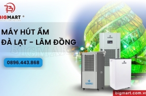 Nên Mua Máy Hút Ẩm Ở Đà Lạt - Lâm Đồng Chỗ Nào Tốt?