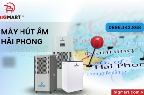 Mua Máy Hút Ẩm Ở Hải Phòng Chỗ Nào Tốt, Giá Bao Nhiêu?