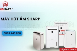 Máy hút ẩm Sharp có tốt không? Review 4 mẫu máy HOT nhất