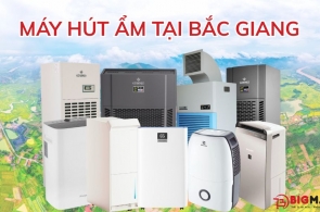 Máy hút ẩm tại Bắc Giang: Mua ở đâu, dùng sao cho đúng?