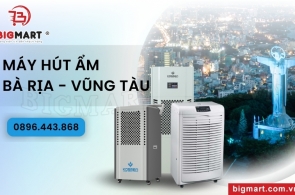 Bật Mí Địa Chỉ Mua Máy Hút Ẩm Tại Bà Rịa - Vũng Tàu Uy Tín 100%