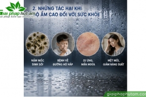 Tác hại độ ẩm cao và lợi ích máy hút ẩm đối với sức khỏe