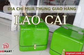 Nơi Mua Thùng Chở Hàng Xe Máy Lào Cai Giá Tốt, Chất Lượng Hàng Đầu