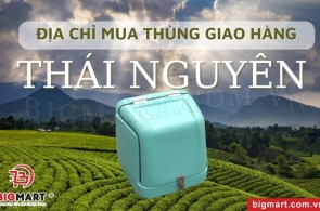 Địa Chỉ Mua Thùng Chở Hàng Thái Nguyên Uy Tín Hàng Đầu 